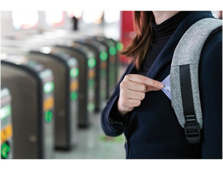 Anti-Theft Bobby Laptop Backpack